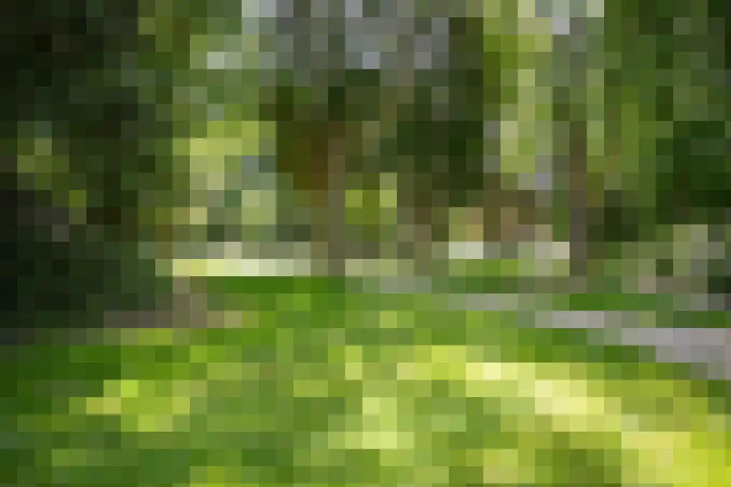 Badhuislaan 67 Laag-Soeren thumbnail 57