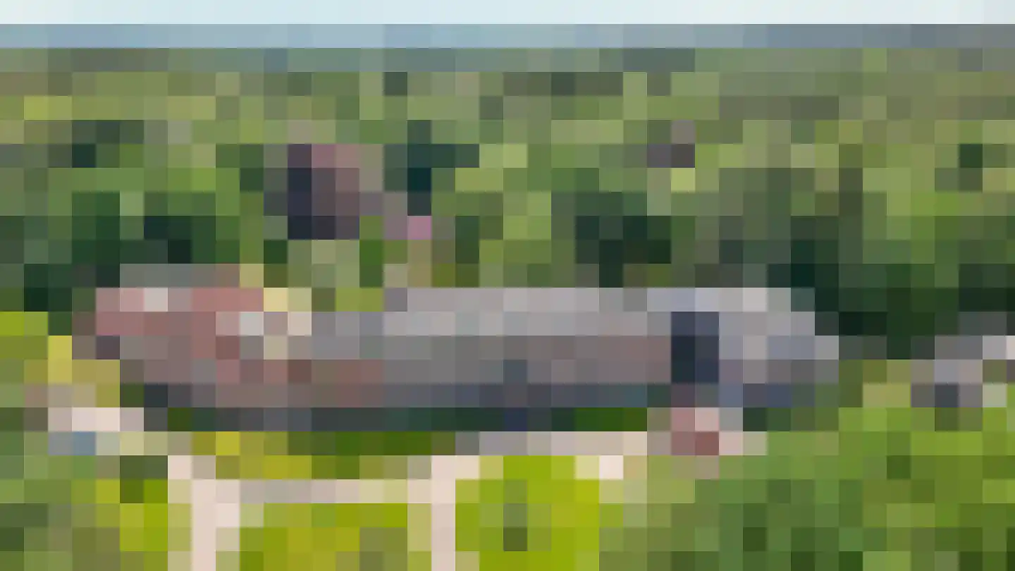 Badhuislaan 67 Laag-Soeren thumbnail 64