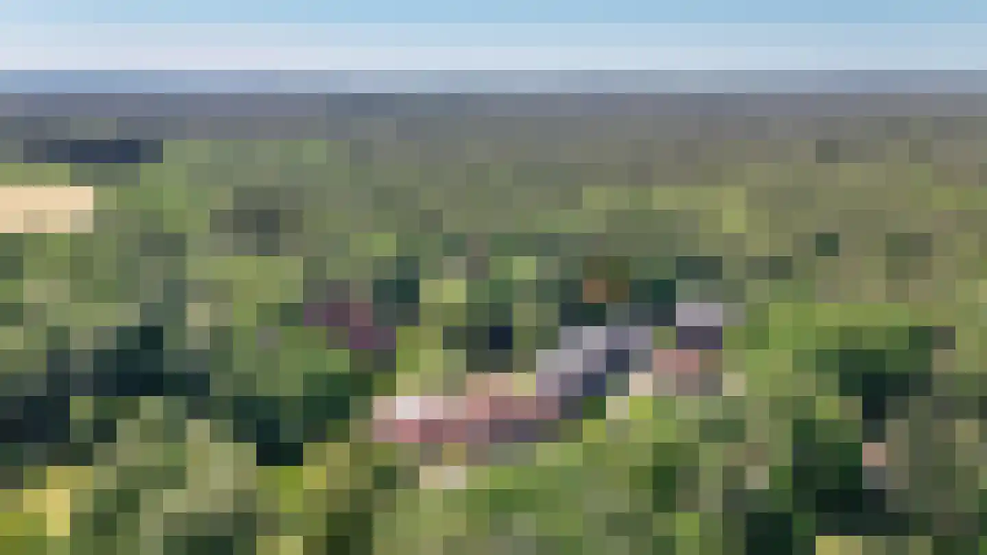 Badhuislaan 67 Laag-Soeren thumbnail 65