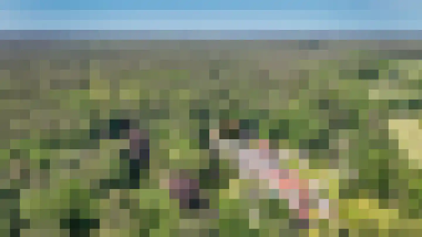 Badhuislaan 67 Laag-Soeren thumbnail 66