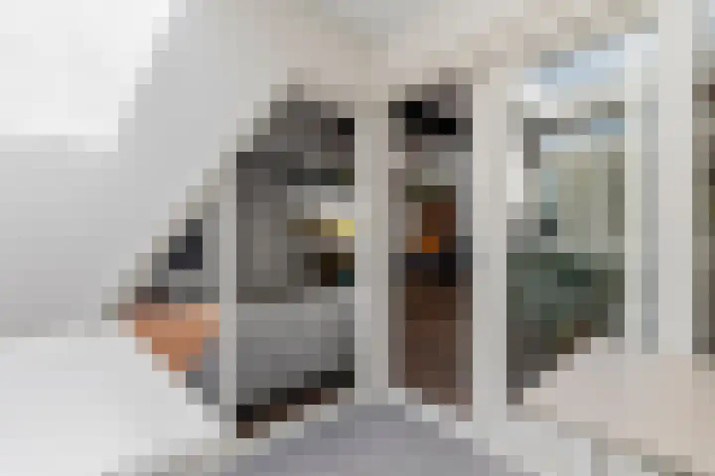 Badhuislaan 69 Laag-Soeren thumbnail 13