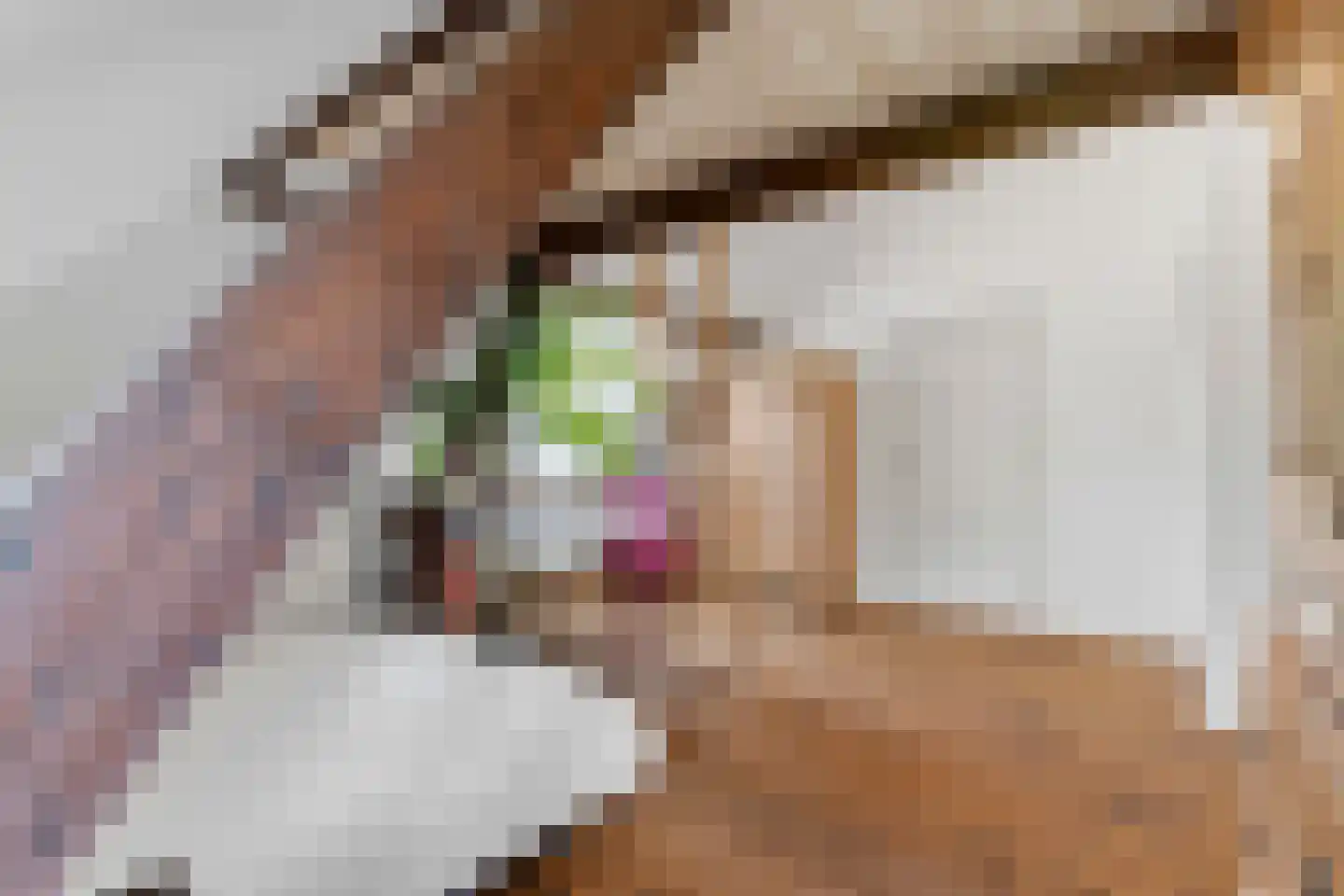 Badhuislaan 69 Laag-Soeren thumbnail 16