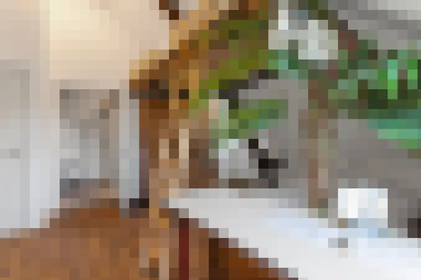 Badhuislaan 69 Laag-Soeren thumbnail 17