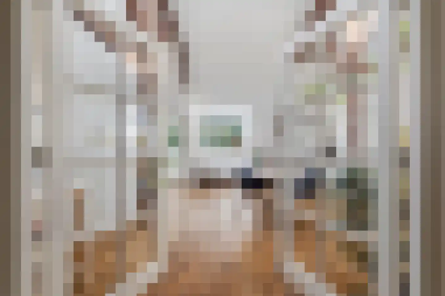 Badhuislaan 69 Laag-Soeren foto 2