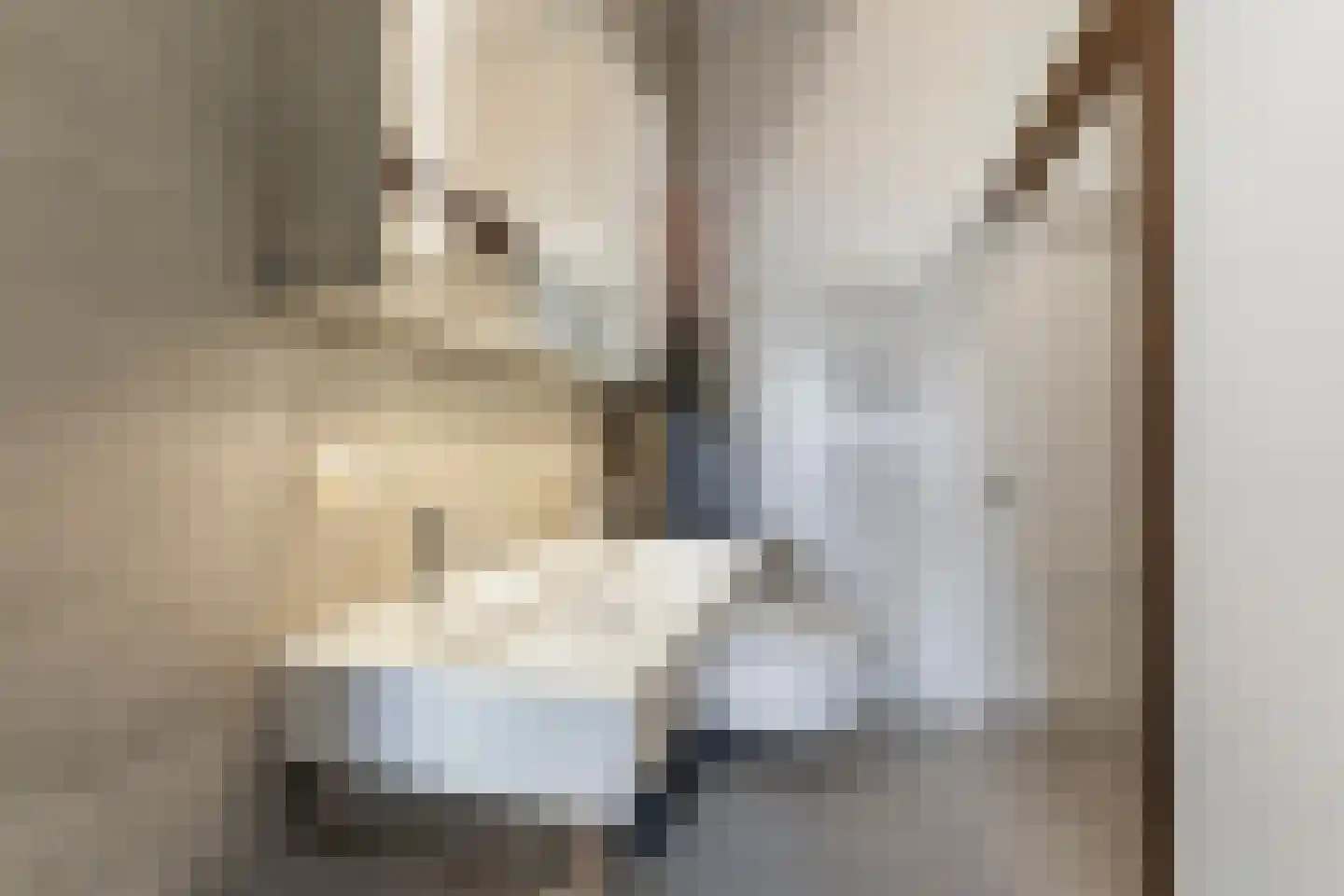 Badhuislaan 69 Laag-Soeren thumbnail 24