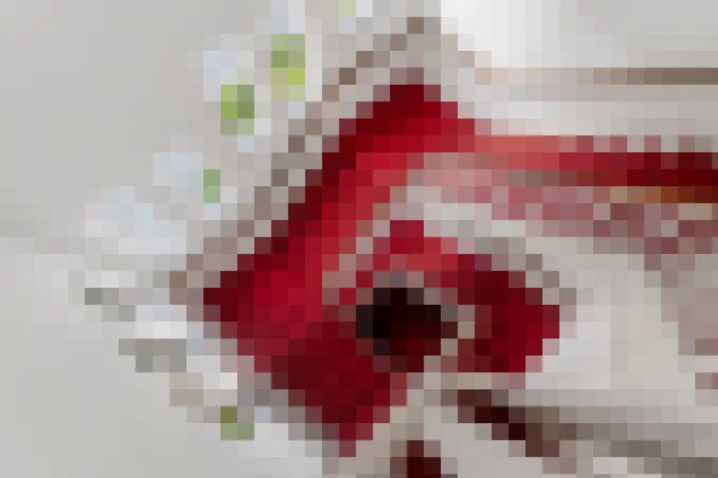 Badhuislaan 69 Laag-Soeren thumbnail 31
