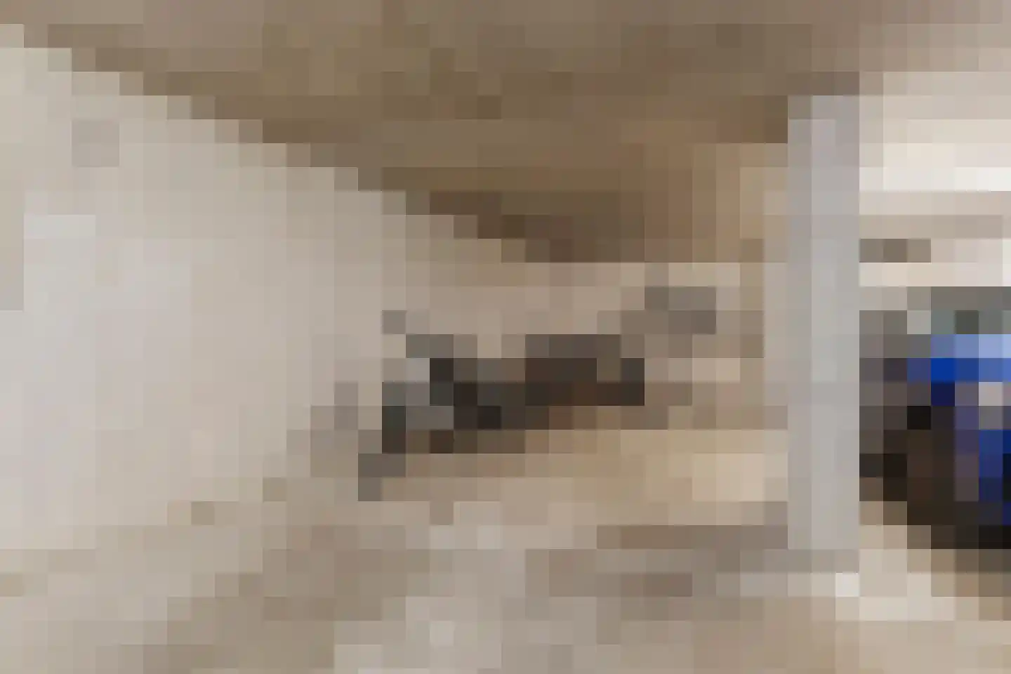 Badhuislaan 69 Laag-Soeren thumbnail 35