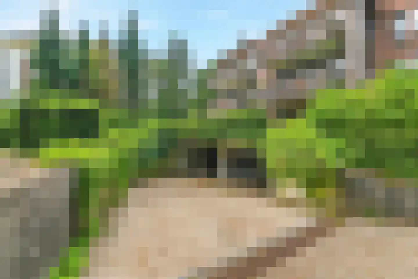 Badhuislaan 69 Laag-Soeren thumbnail 36