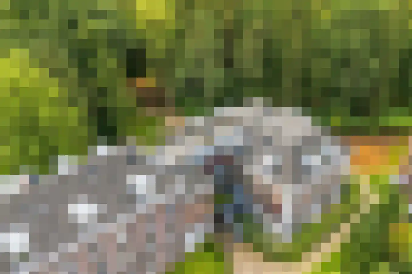 Badhuislaan 69 Laag-Soeren thumbnail 40