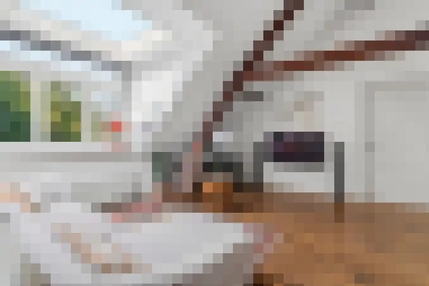 Badhuislaan 69 Laag-Soeren thumbnail 5