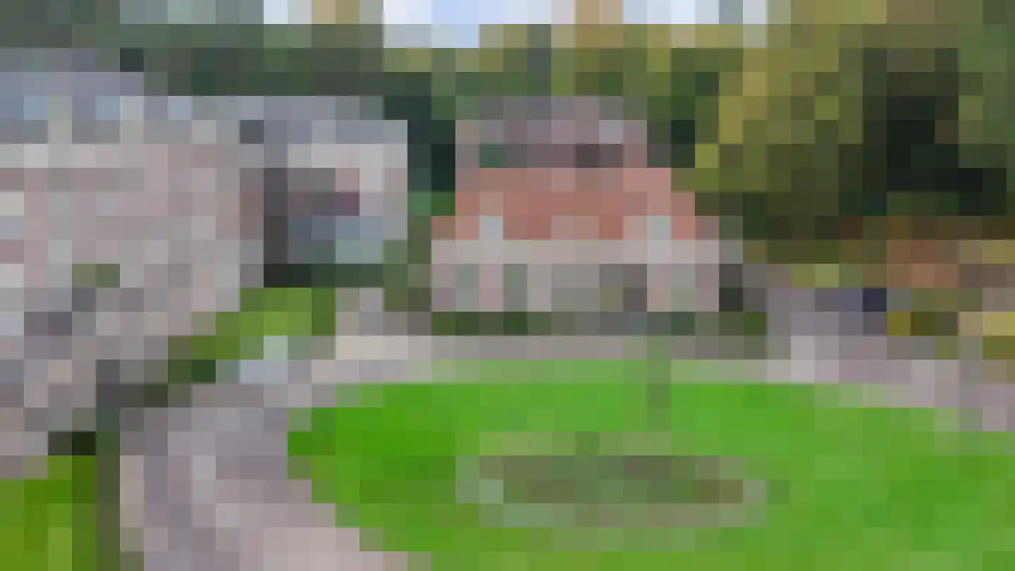 Badhuislaan 73 Laag-Soeren thumbnail 19