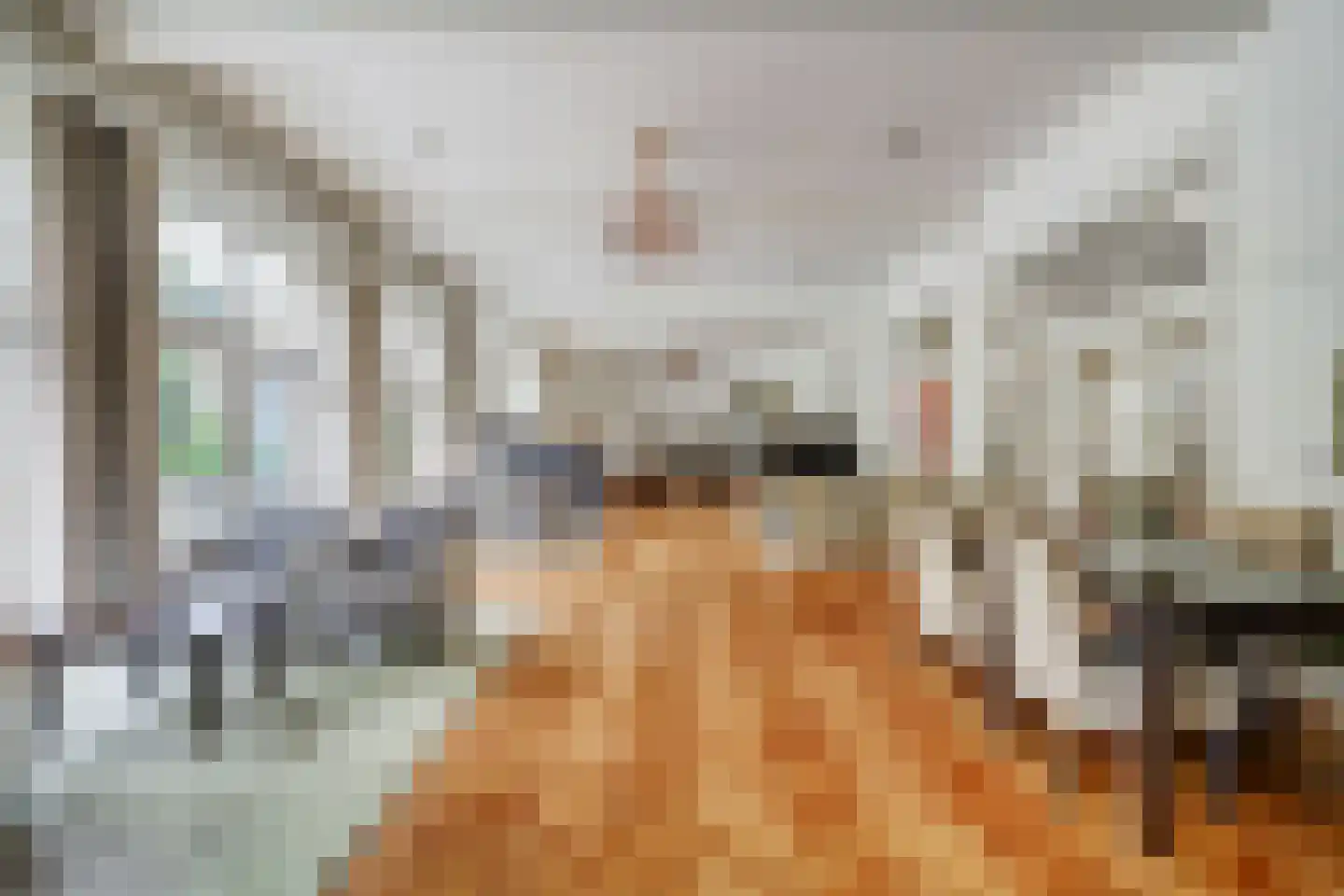 Badhuislaan 73 Laag-Soeren thumbnail 22