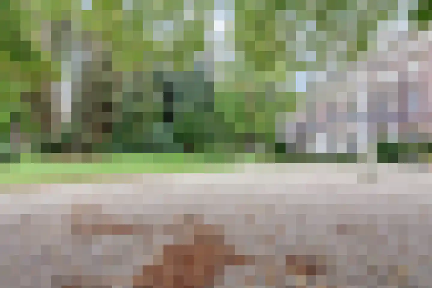 Badhuislaan 73 Laag-Soeren thumbnail 26