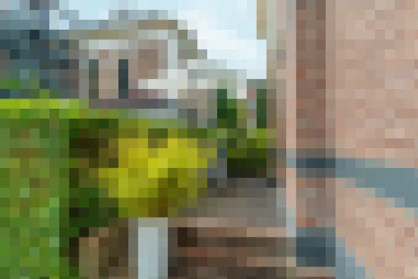 Badhuislaan 73 Laag-Soeren thumbnail 30