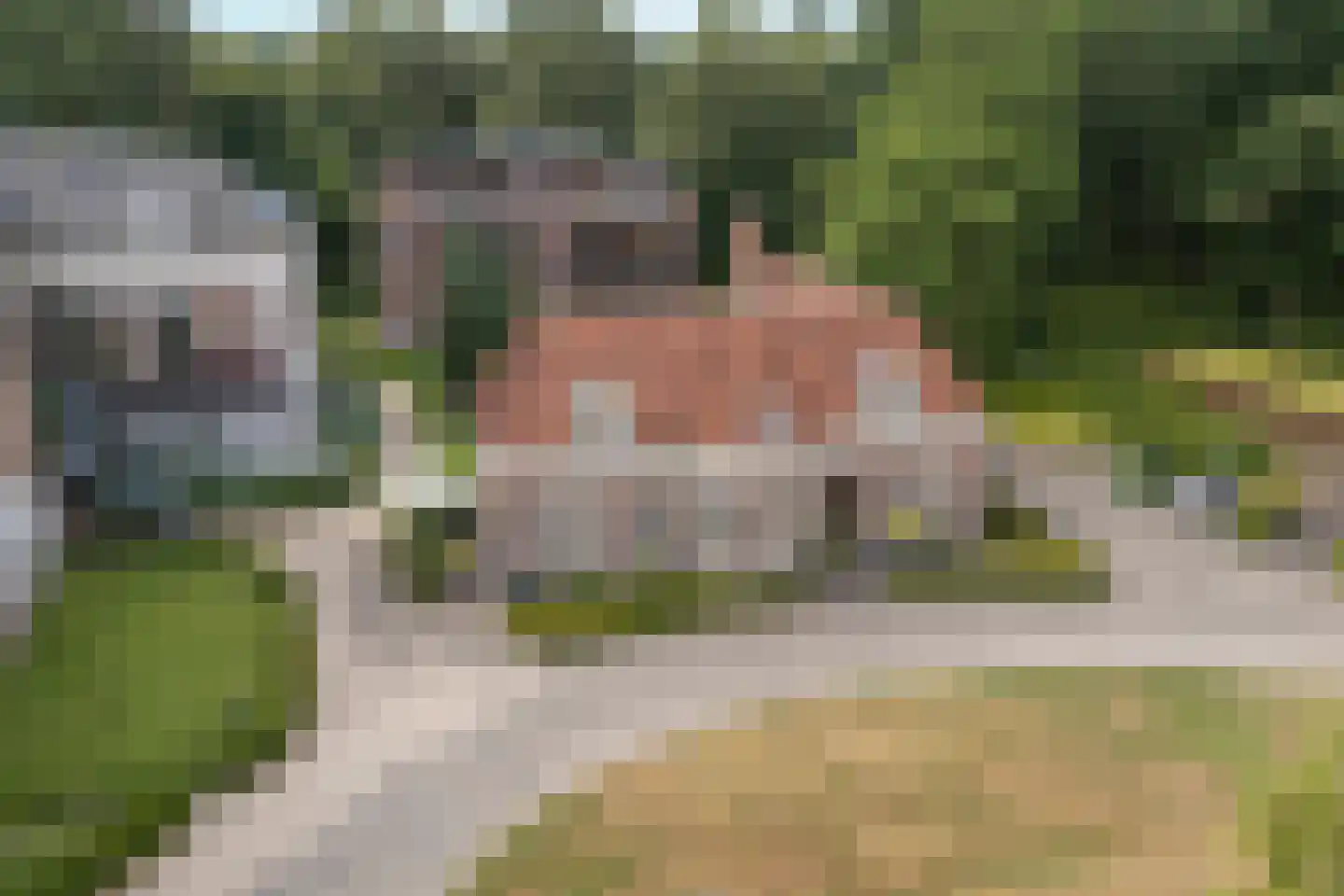 Badhuislaan 73 Laag-Soeren thumbnail 33