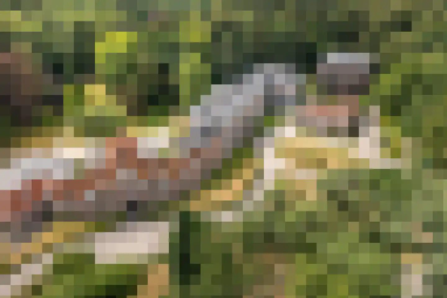 Badhuislaan 73 Laag-Soeren thumbnail 35