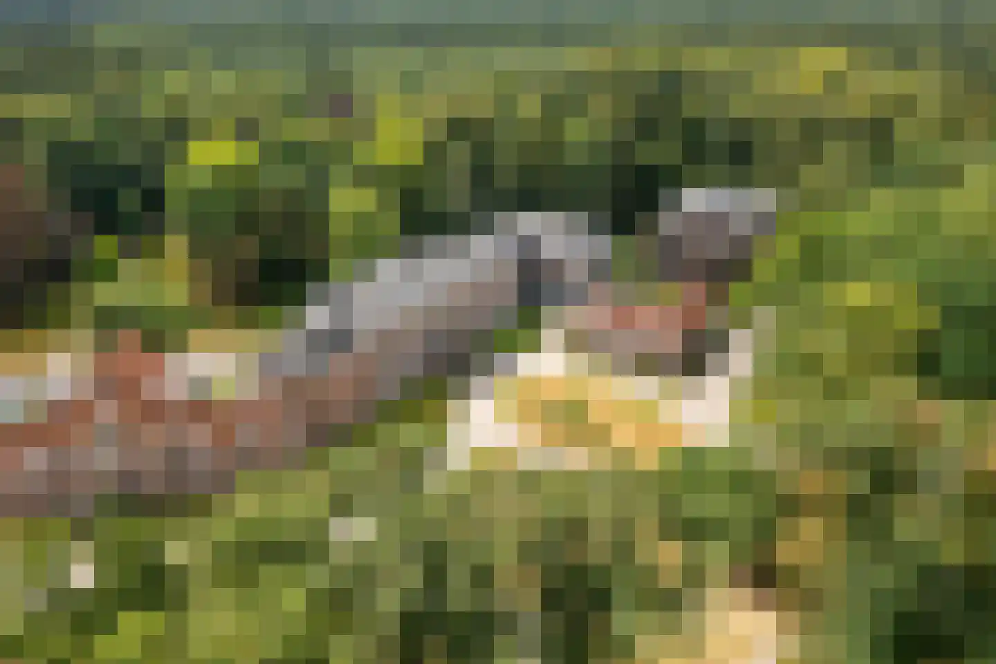 Badhuislaan 73 Laag-Soeren thumbnail 36