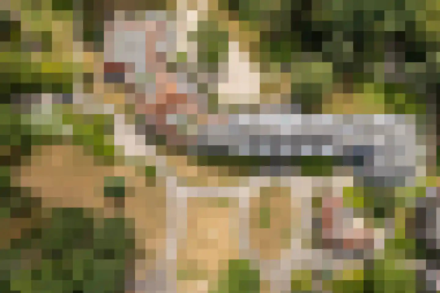 Badhuislaan 73 Laag-Soeren thumbnail 37