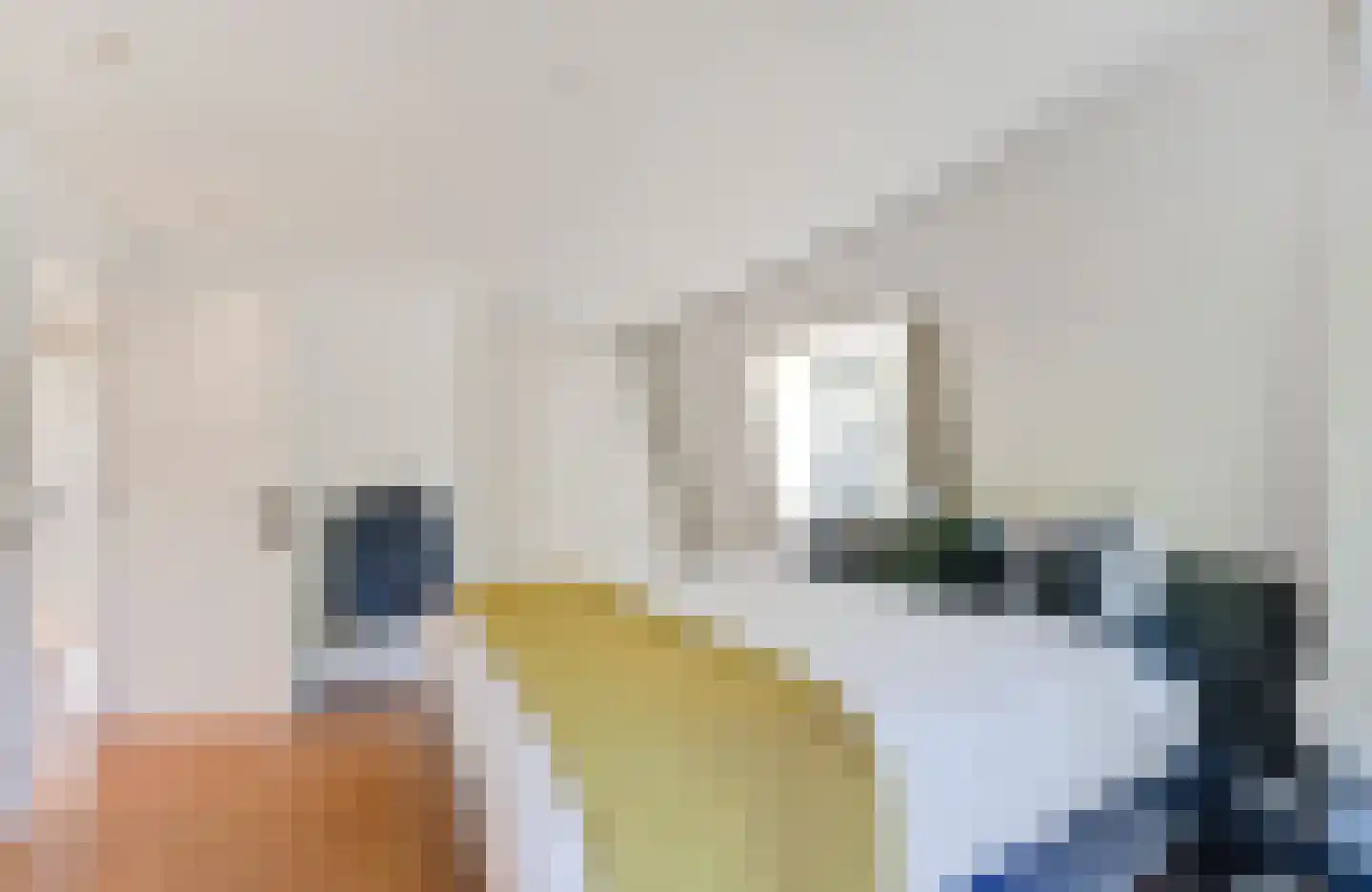 Badhuislaan 8 Hilversum thumbnail 33