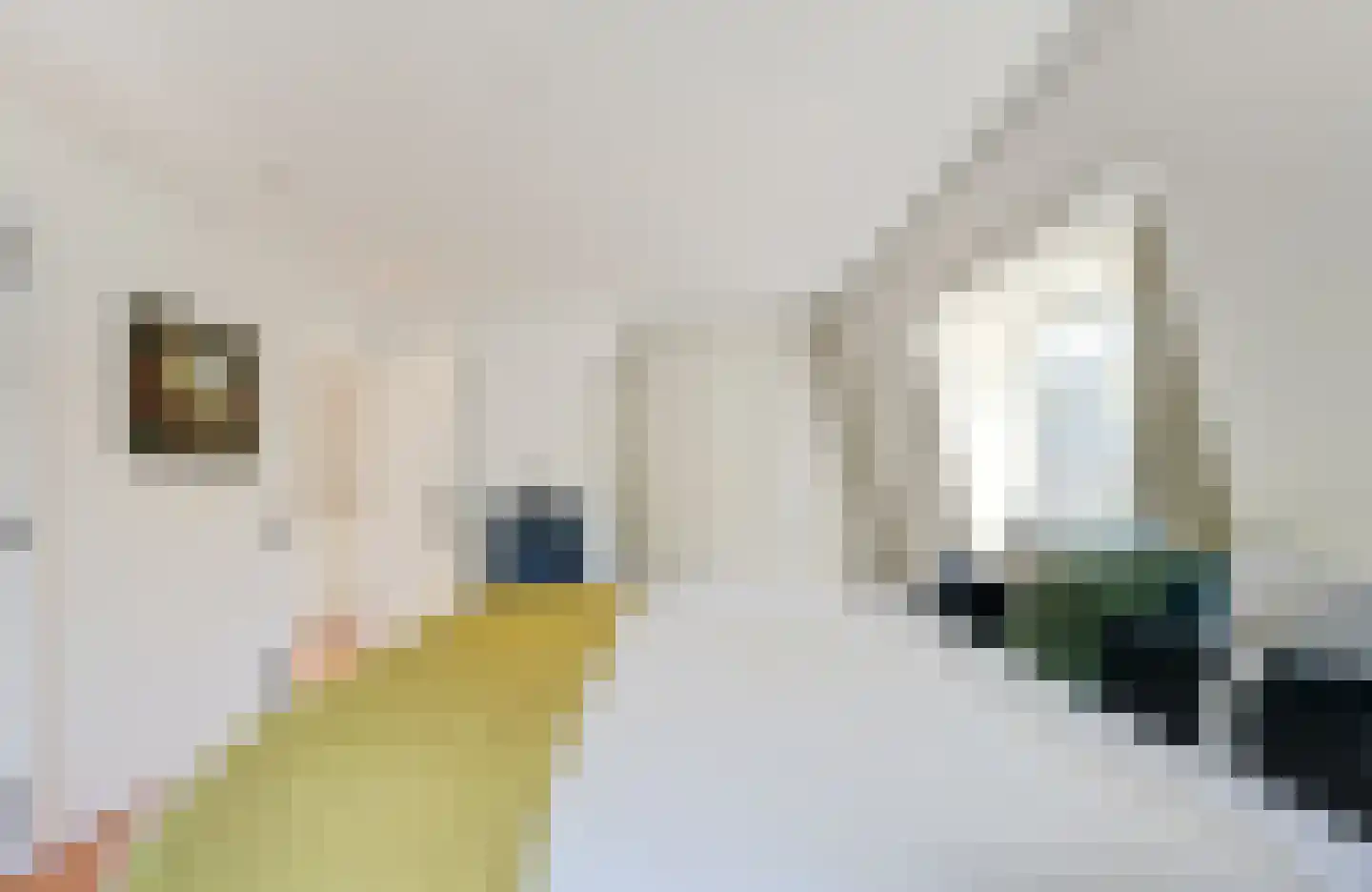 Badhuislaan 8 Hilversum thumbnail 34