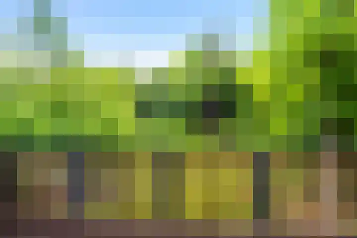 Badhuislaan 97 Laag-Soeren thumbnail 19