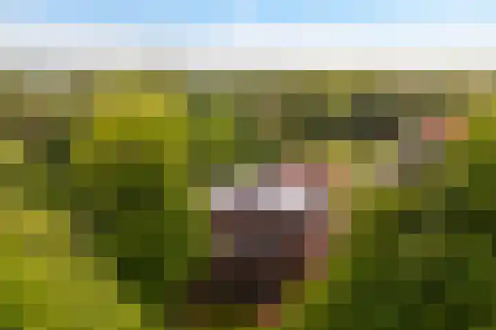 Badhuislaan 97 Laag-Soeren thumbnail 21