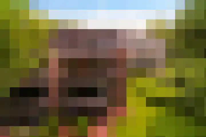 Badhuislaan 97 Laag-Soeren thumbnail 22