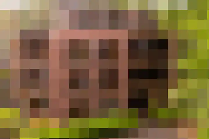 Badhuislaan 97 Laag-Soeren thumbnail 23