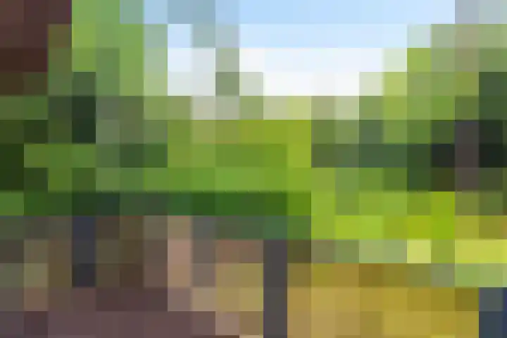 Badhuislaan 97 Laag-Soeren thumbnail 5