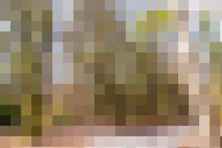 Badhuislaan 97 Laag-Soeren thumbnail 6