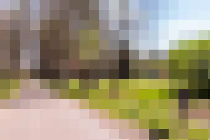 Badhuislaan 97 Laag-Soeren thumbnail 7