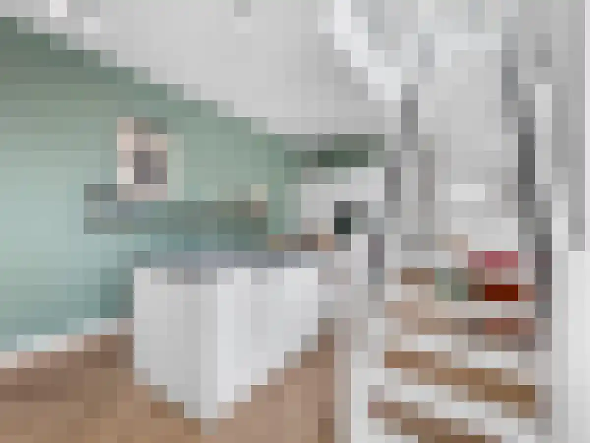 Badhuislaan Hilversum thumbnail 5