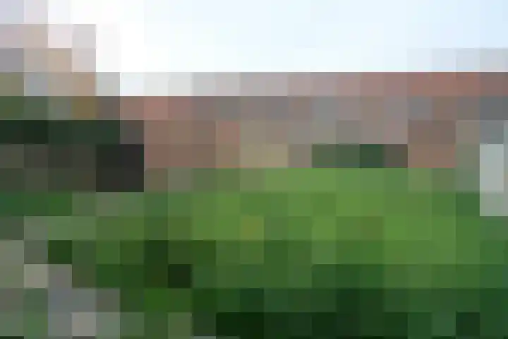 Badhuisplein 14 Tiel thumbnail 10
