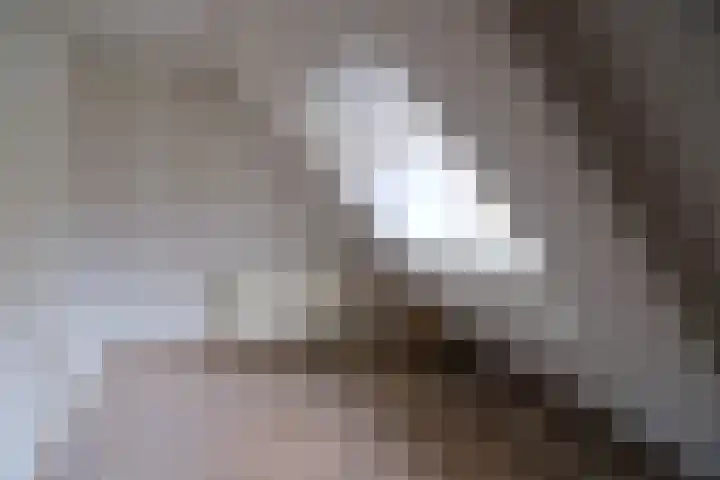 Badhuisplein 14 Tiel thumbnail 6