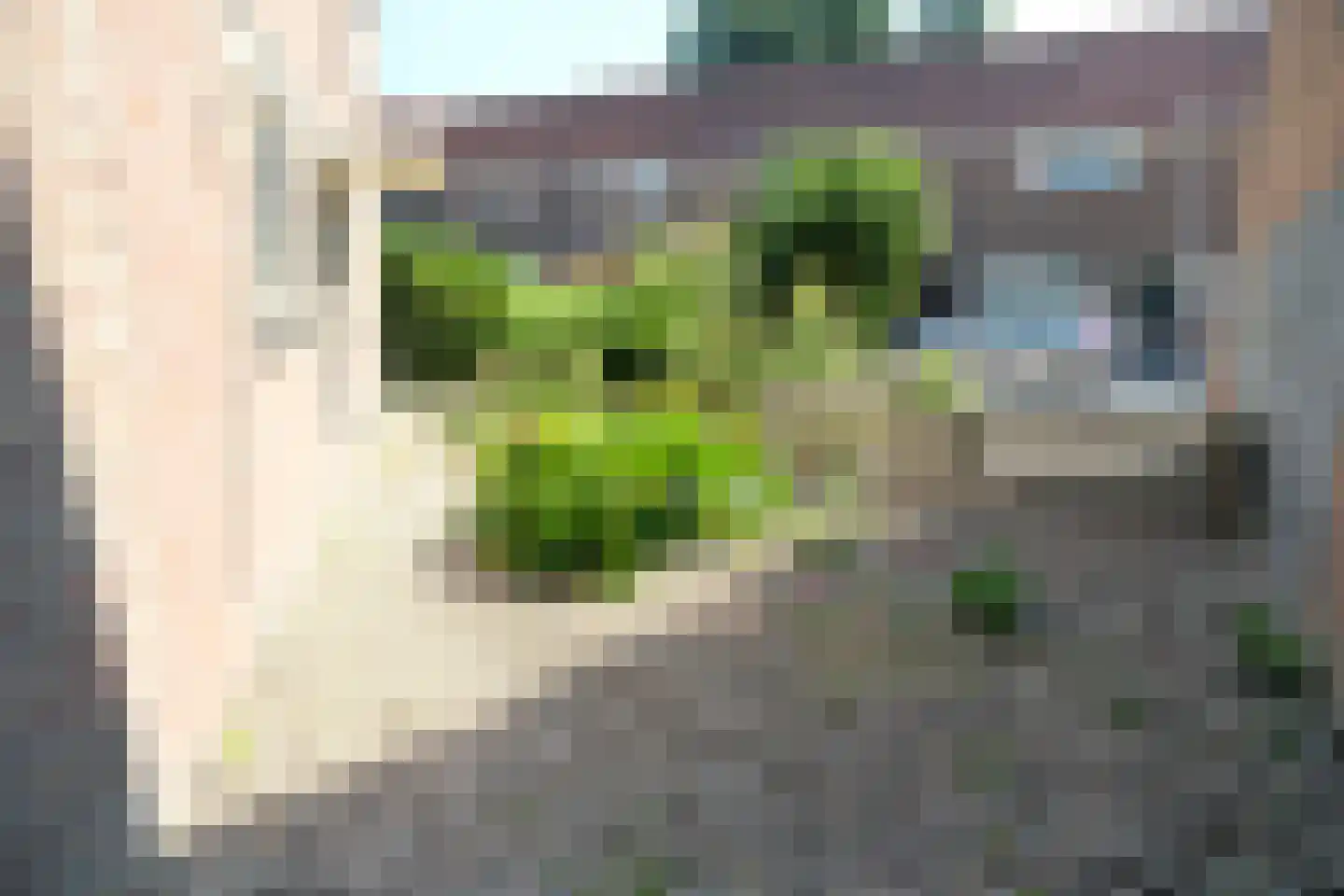 Badhuisplein 40 Tiel thumbnail 12