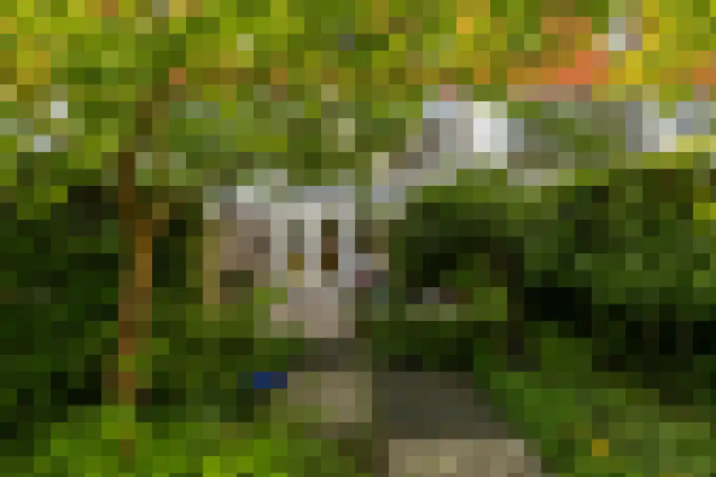 Badhuisplein 6 Groningen thumbnail 39