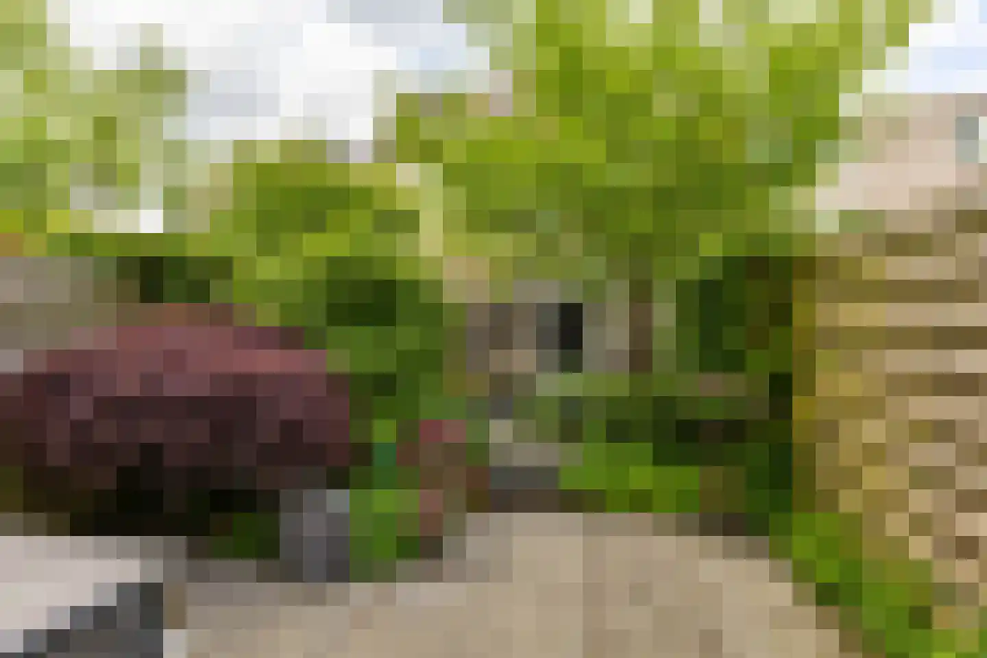 Badhuisplein 6 Groningen thumbnail 4