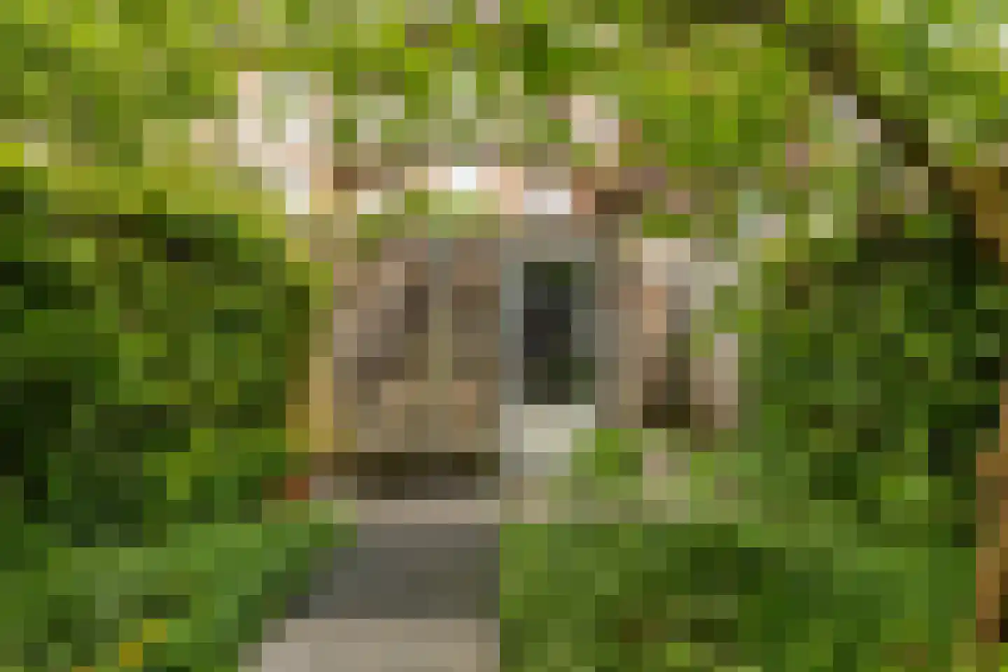 Badhuisplein 6 Groningen thumbnail 42