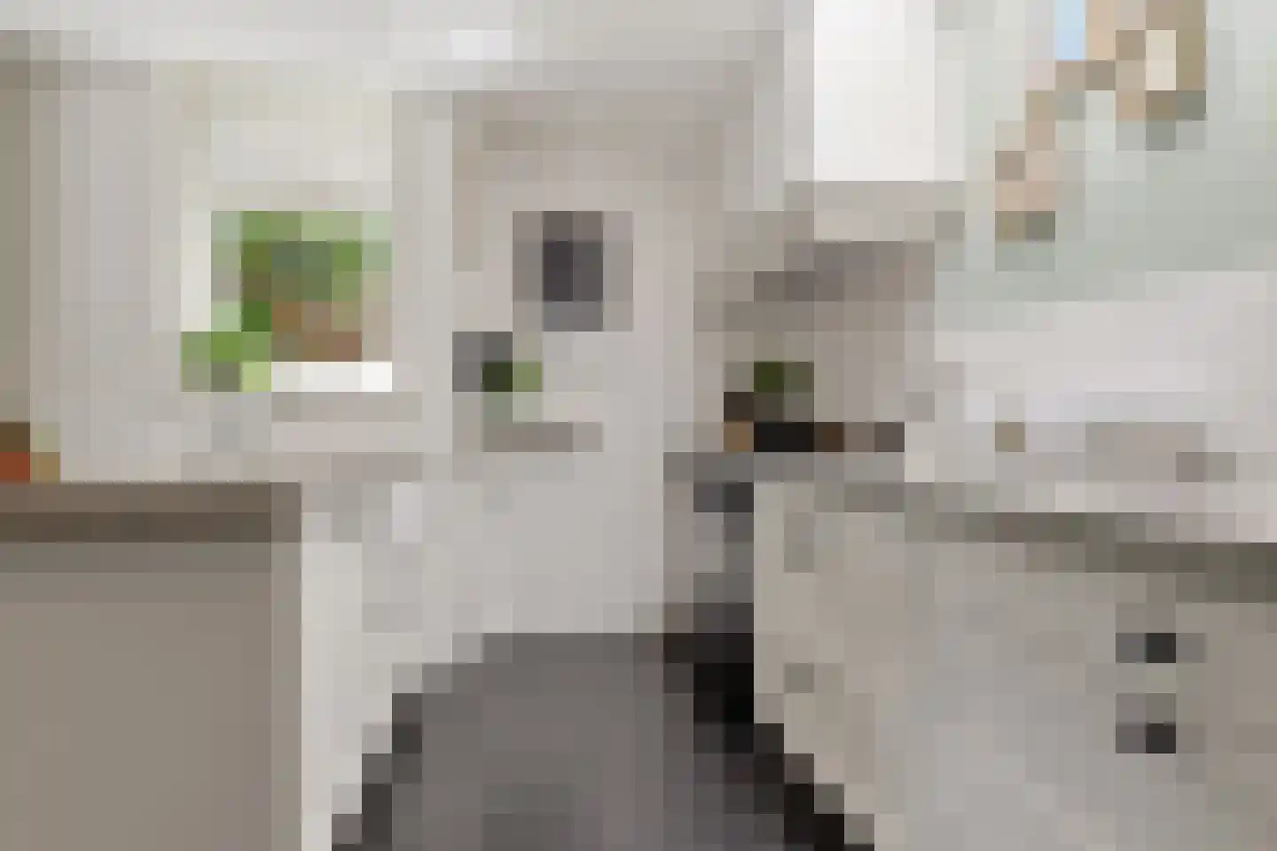 Badhuisstraat 10 A Wormer thumbnail 10