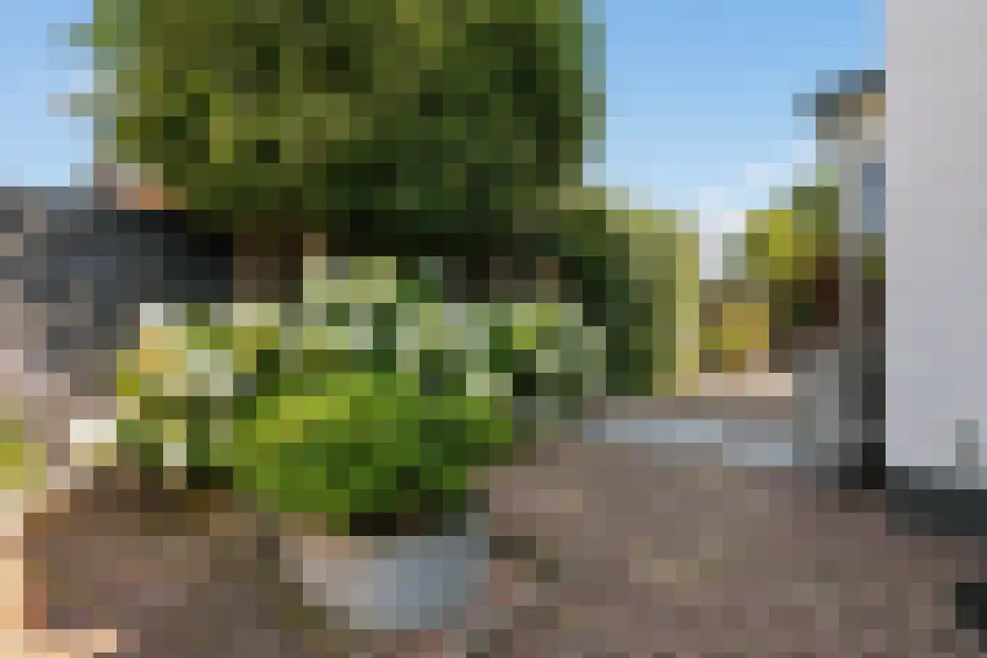 Badhuisstraat 10 A Wormer thumbnail 23