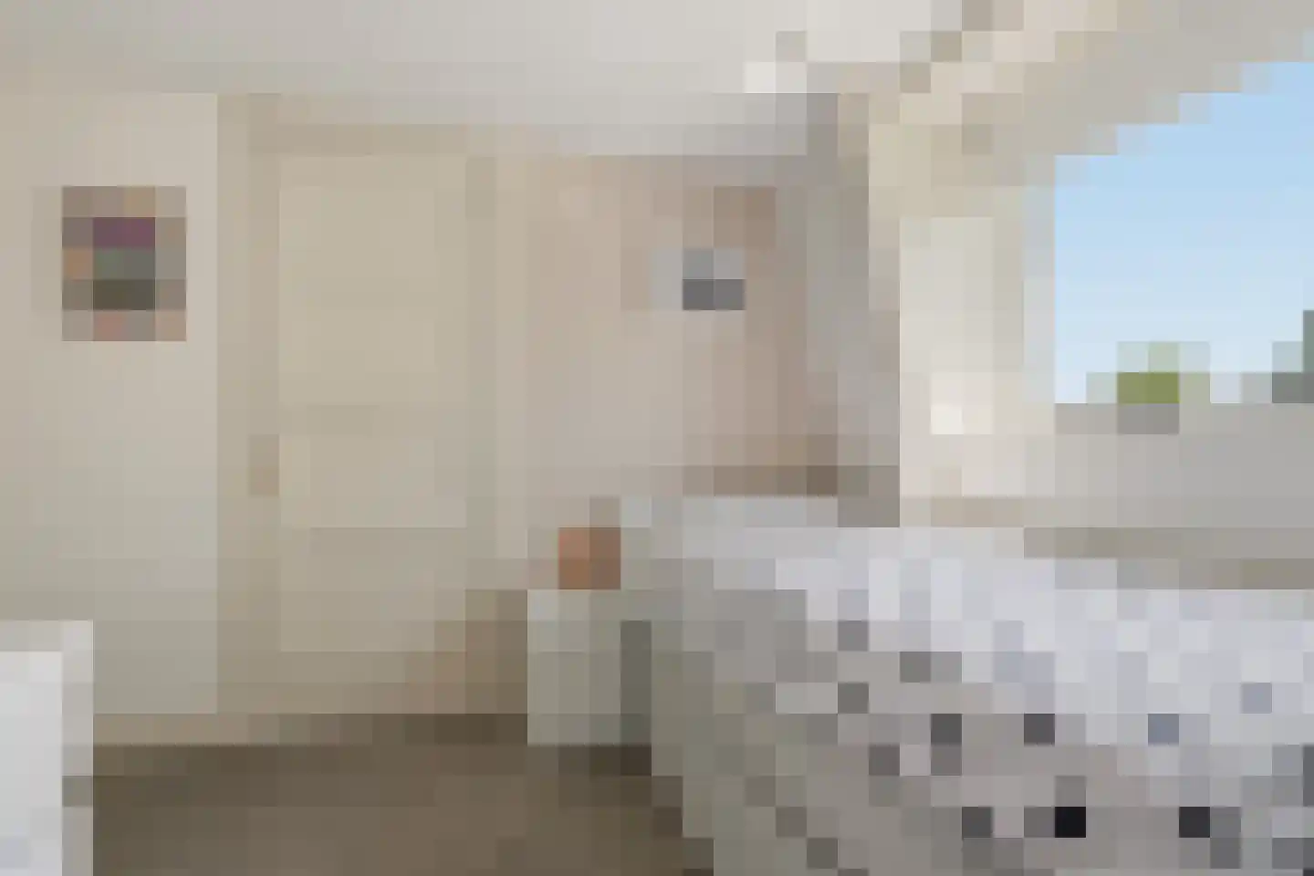 Badhuisstraat 10 A Wormer thumbnail 34