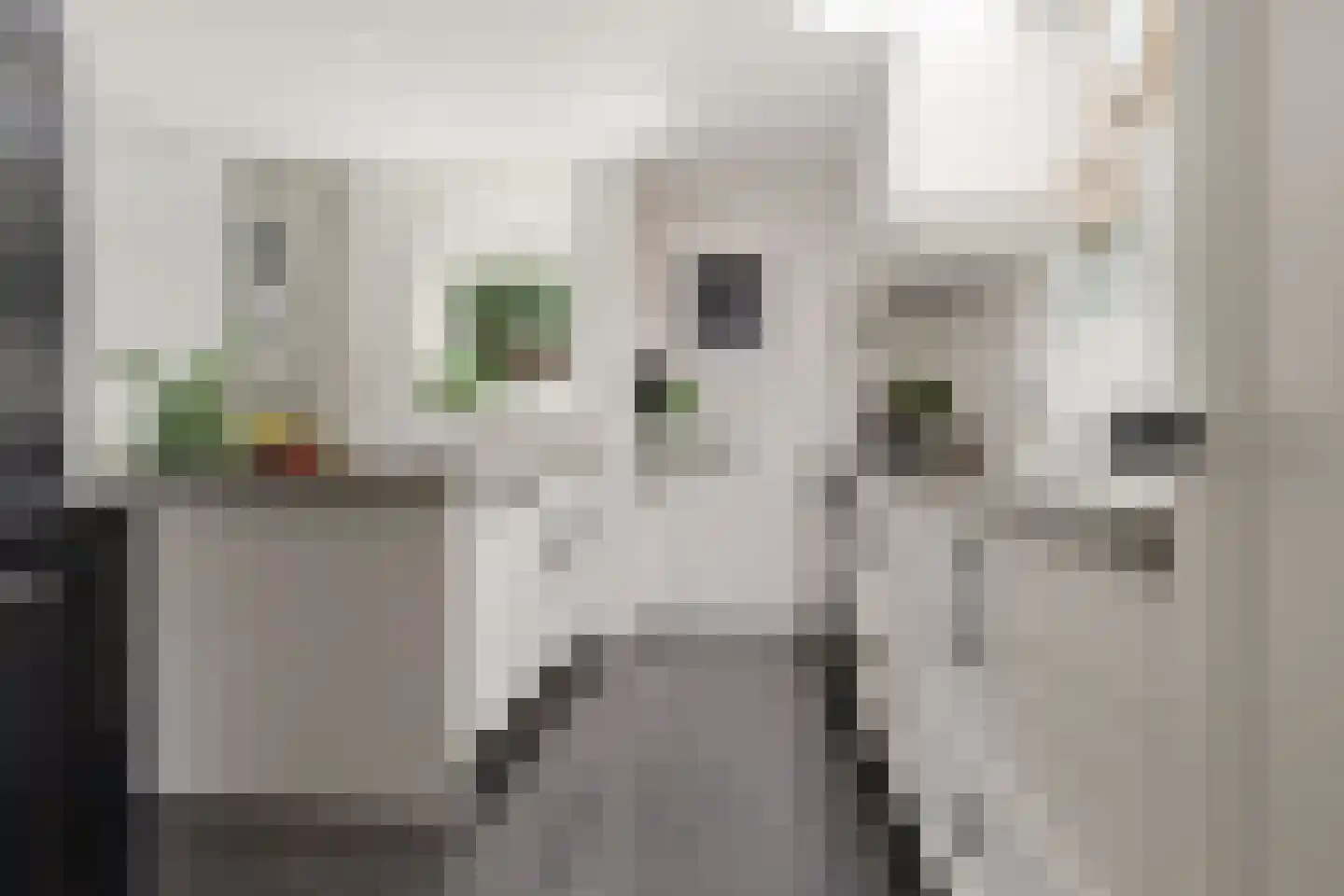 Badhuisstraat 10 A Wormer thumbnail 4