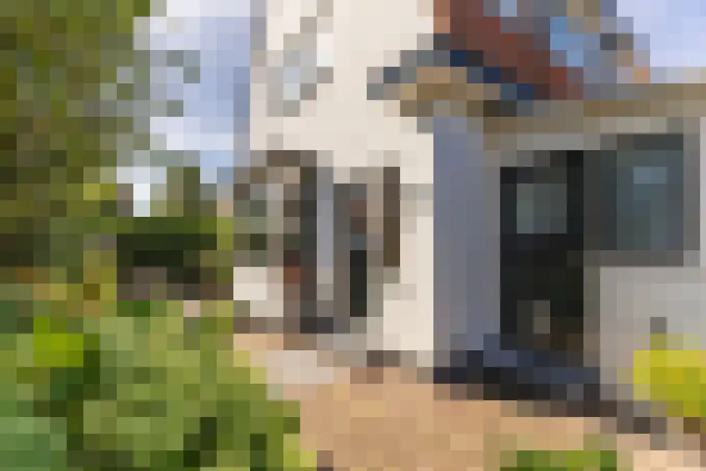 Badhuisstraat 10 A Wormer thumbnail 43