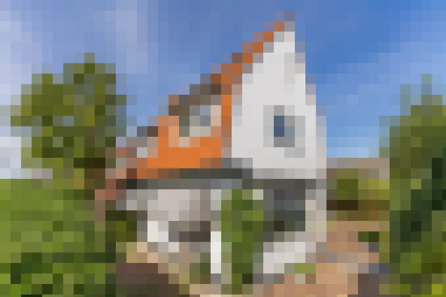 Badhuisstraat 10 A Wormer thumbnail 46