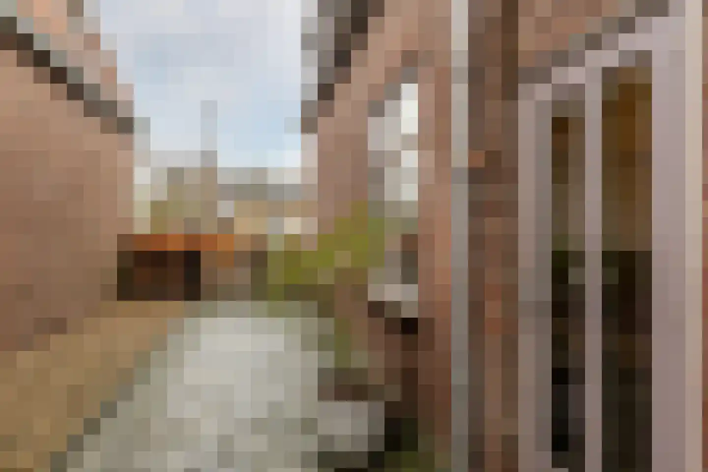 Badhuisstraat 12 's-Gravendeel thumbnail 39