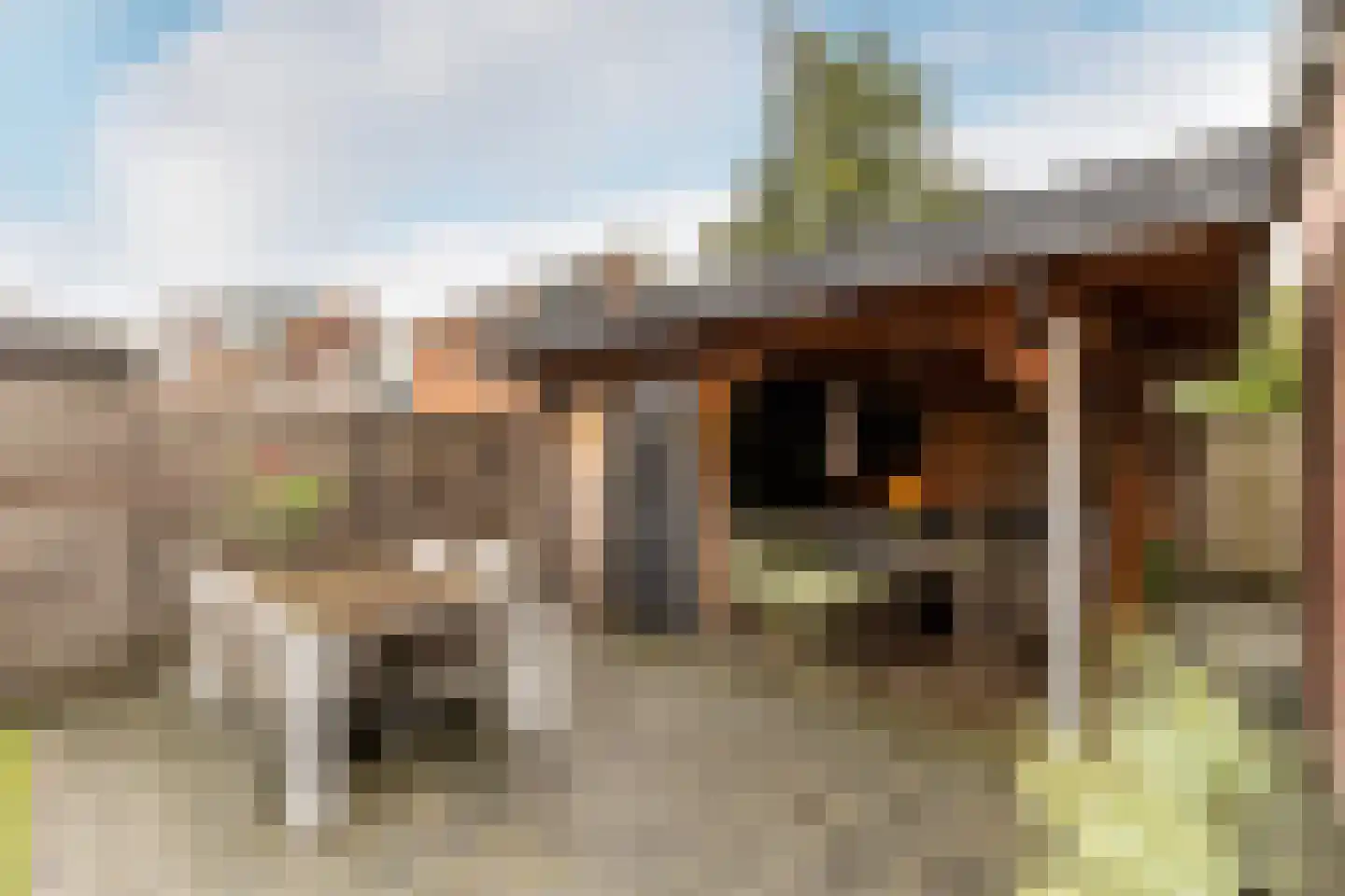 Badhuisstraat 12 's-Gravendeel thumbnail 4