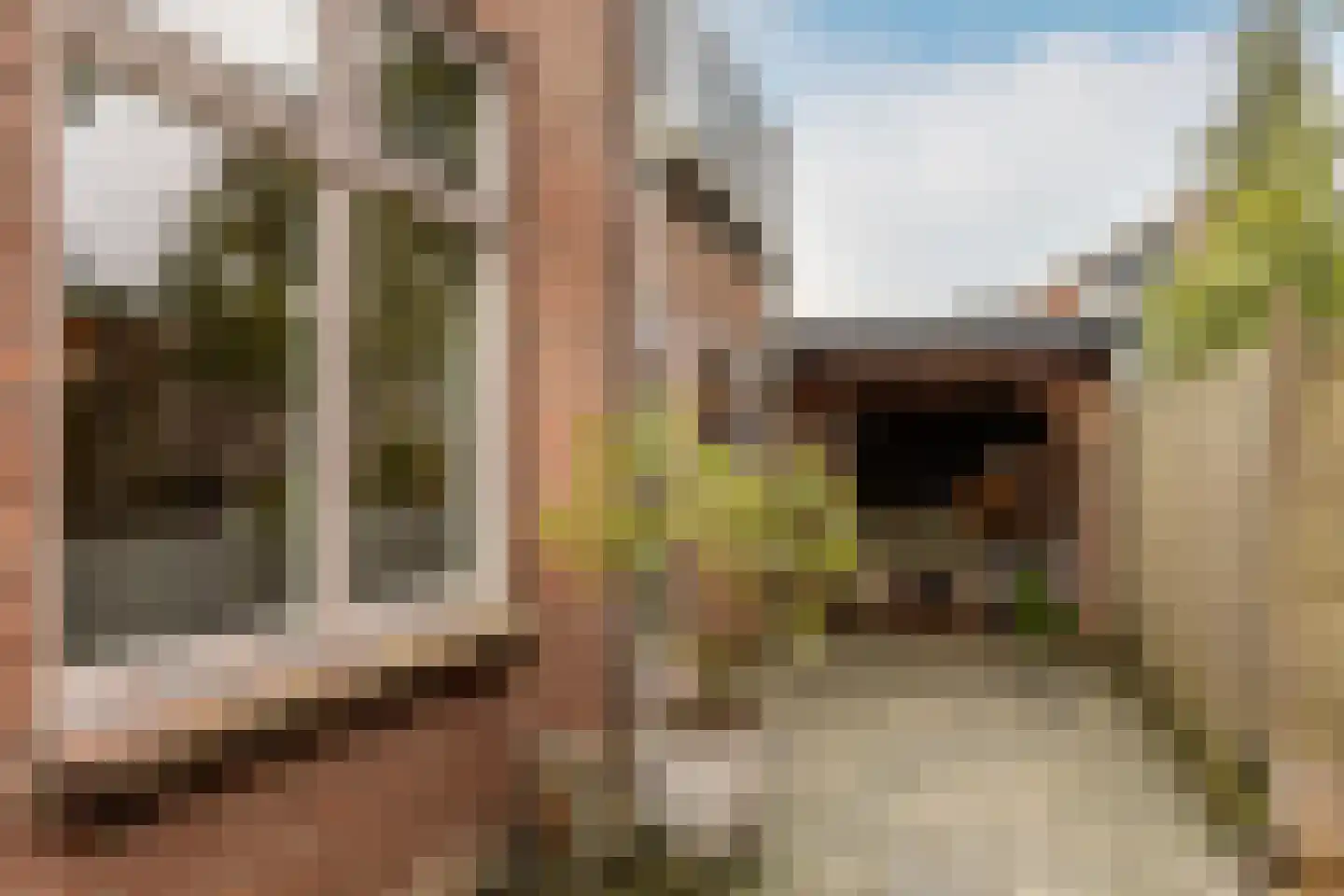 Badhuisstraat 12 's-Gravendeel thumbnail 40