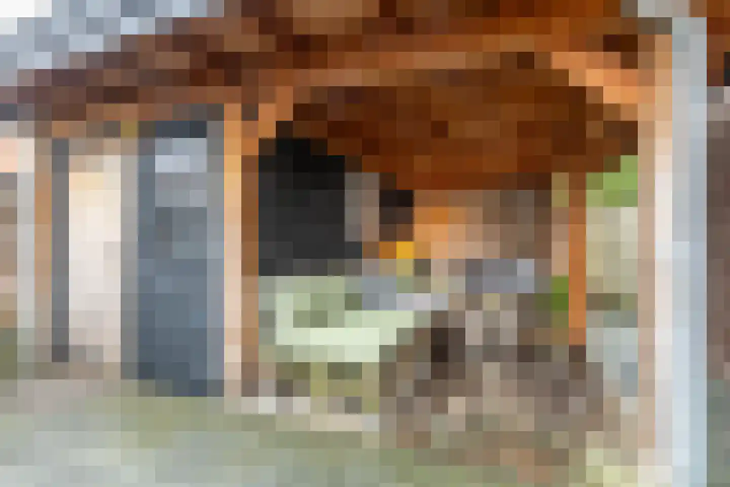 Badhuisstraat 12 's-Gravendeel thumbnail 44