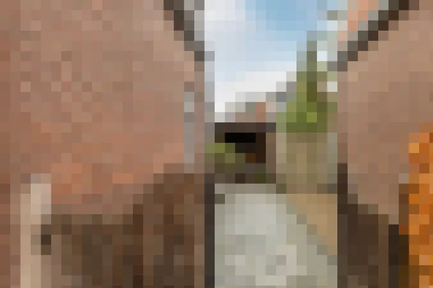 Badhuisstraat 12 's-Gravendeel thumbnail 45
