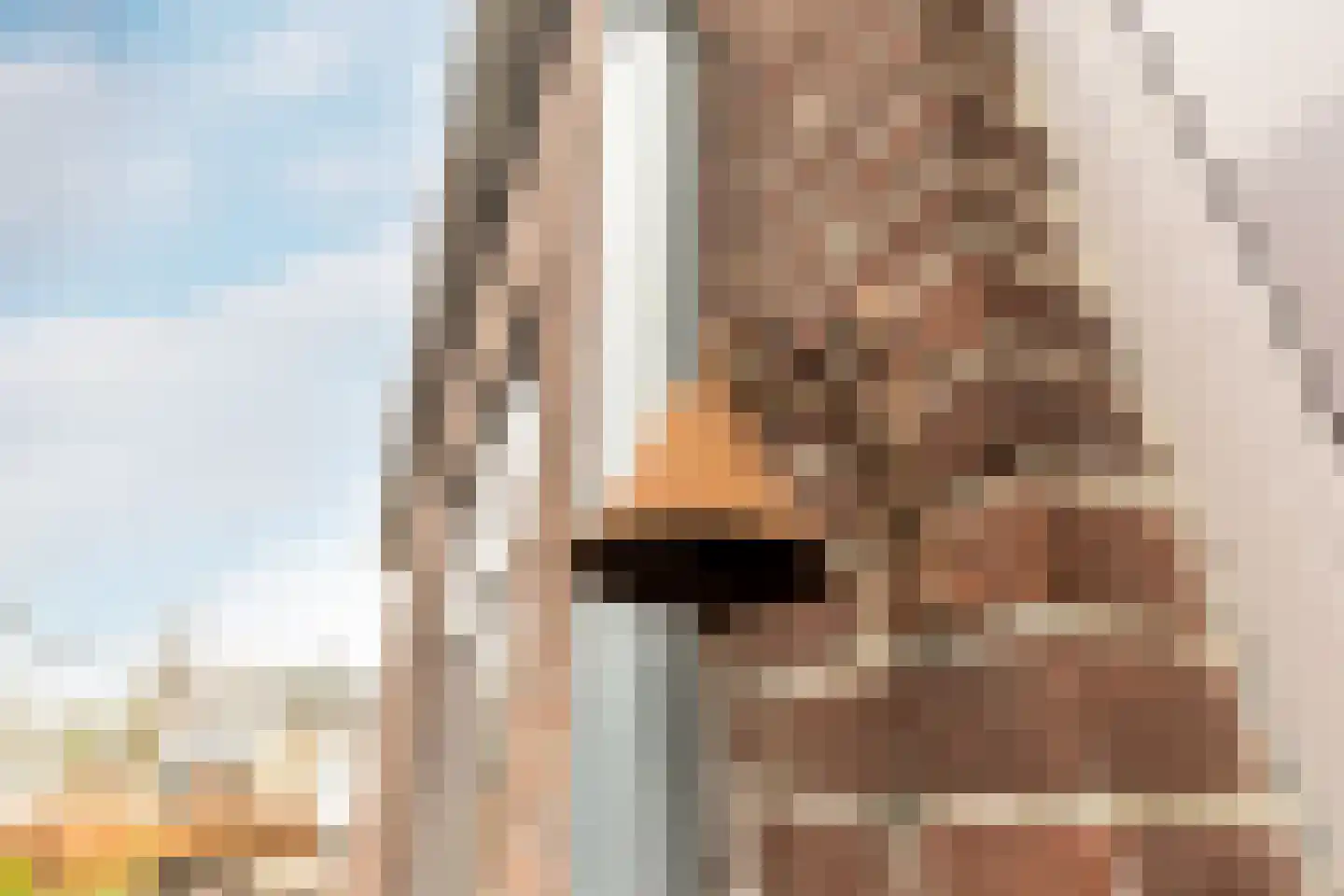 Badhuisstraat 12 's-Gravendeel thumbnail 8